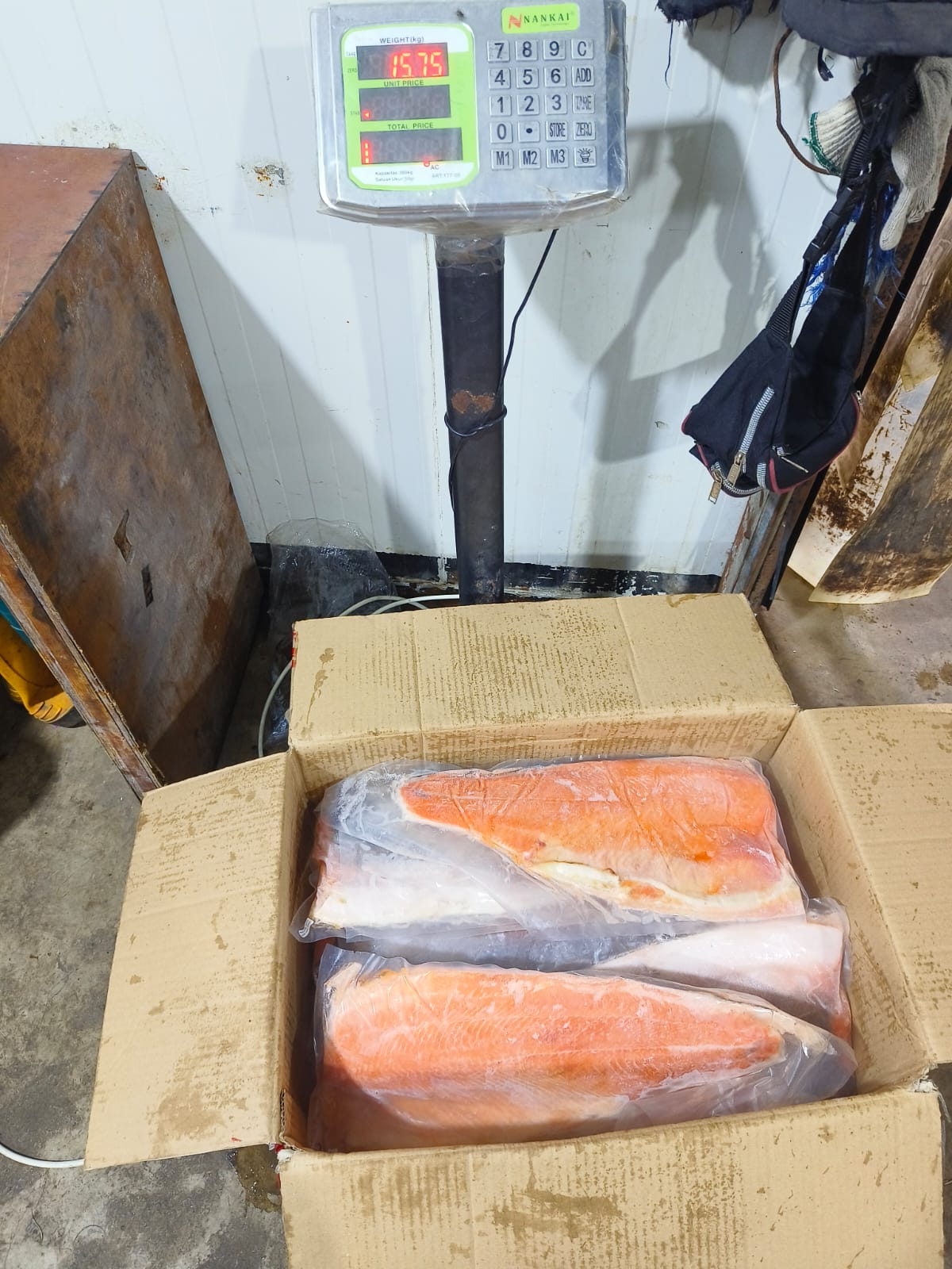 Salmon Fillet Lempeng Fresh