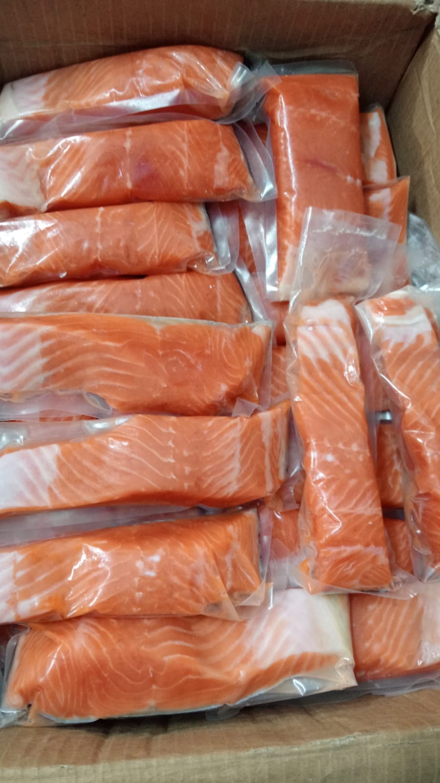 Salmon Portion Segar